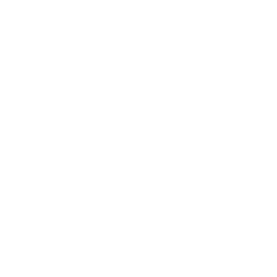 Стойка ниндзя: Лео