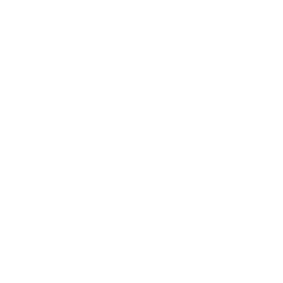 Кошачий бит