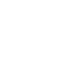 Все за дудочником!
