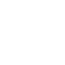 Звезда 96