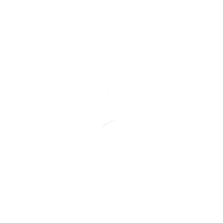 Dance Monkey