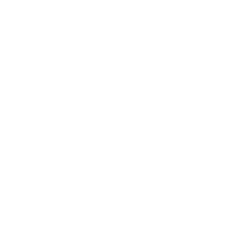 Метрополис