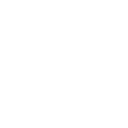 Отряд BFT