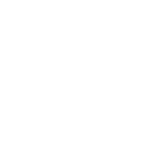 Звезда соцсетей
