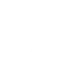 Маленькая ёлочка