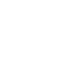 Bodies