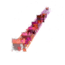 Glitch P+M