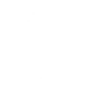 Бодрый шаг