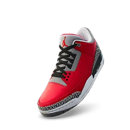 Air Jordan 3 SE 'Unite'