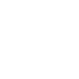 Снежная буря
