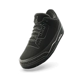 Air Jordan 3 'Black Cat'