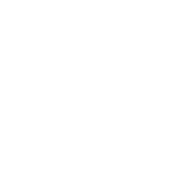 Веерный вихрь