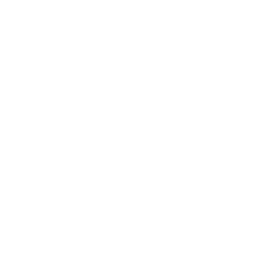 Фургон Черепашек