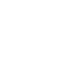 Думы проигравшего