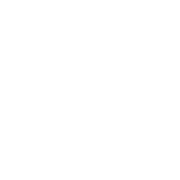Танец наёмницы