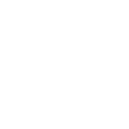 Дикий слэп