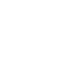 Stuntman