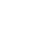 Ford Racing
