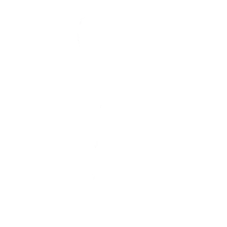 Истинный фанат