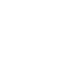 Bizcochito
