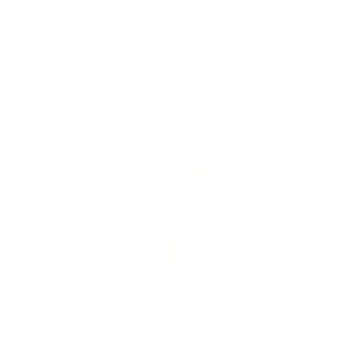 Полный заряд
