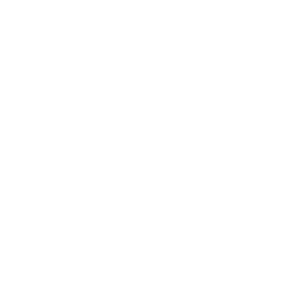 Трековый гонщик